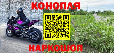 гидра Малоярославец