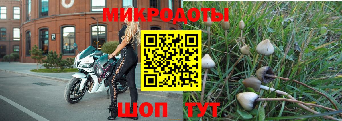 Псилоцибиновые грибы прущие грибы Ялуторовск